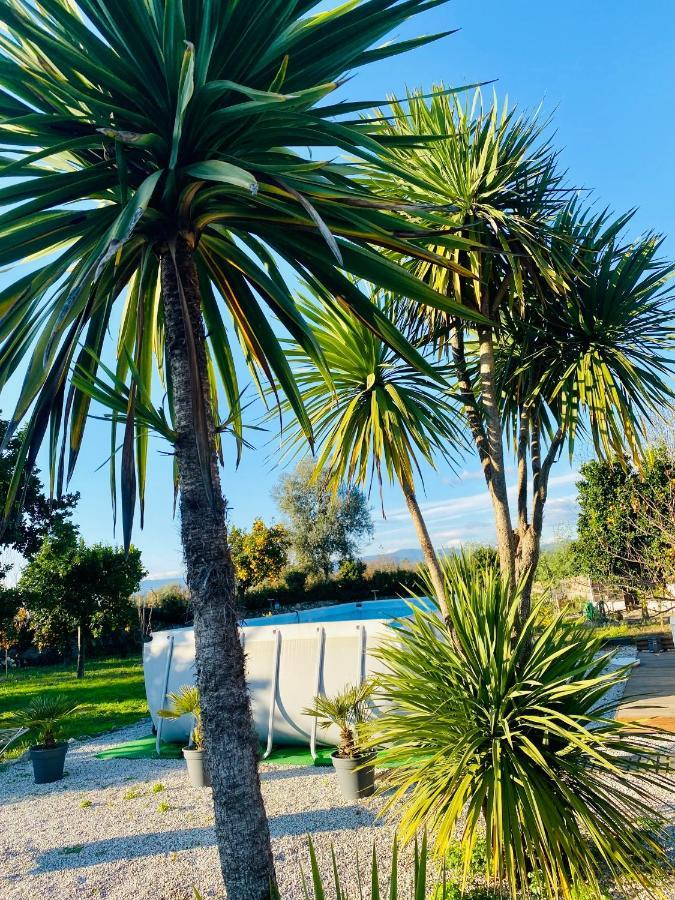 Quinta De Areias Bed & Breakfast Crespos Bagian luar foto