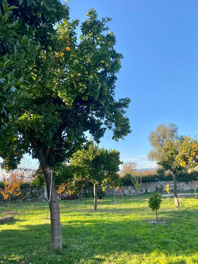 Quinta De Areias Bed & Breakfast Crespos Bagian luar foto
