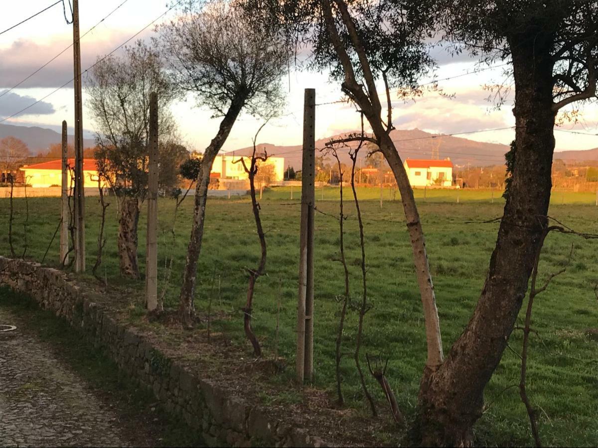 Quinta De Areias Bed & Breakfast Crespos Bagian luar foto